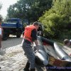 Bild 009