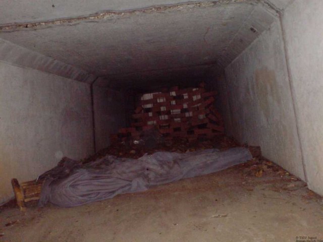 uca_dsc00743