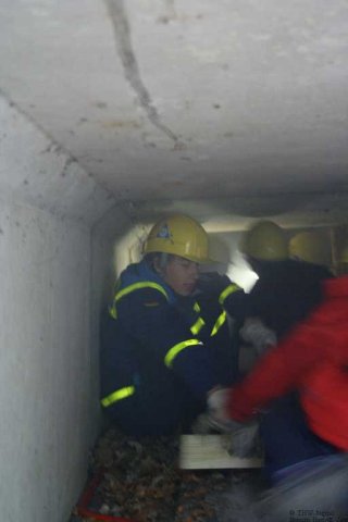 uca_img_2063