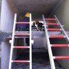 Ausbildung Bergung Verletzter