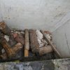 uca_img_2089