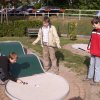 Aktivitäten 2010
