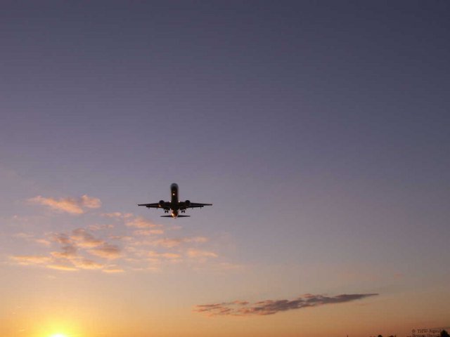 flug39
