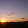flug41