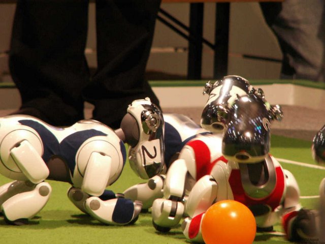 011RobocupTHW150606
