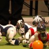 011RobocupTHW150606