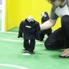 040RobocupTHW150606