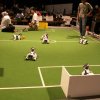 050RobocupTHW150606